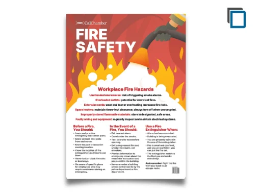 Picture of Multi-State Fire Safety Poster