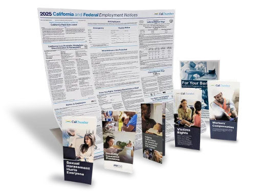Picture of CA Remote Employees (ENG) Paper Bundle