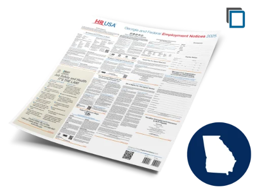 Picture of GA and Federal Labor Law Poster (ENG) Laminate