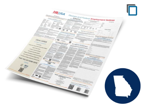 Picture of GA/Fed Labor Law (ENG) Laminated Poster 