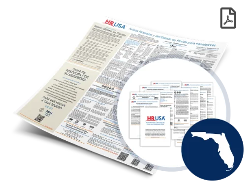 Picture of FL/Fed Labor Law (SP) Digital & Paper Poster 